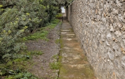107.jpg