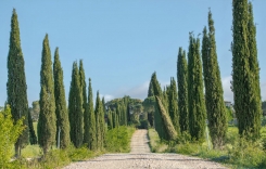 1a
