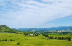 1c