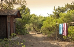 4-H9TTAD5X.jpg