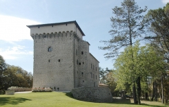 55