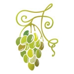 Casa Belvedere logo.jpg