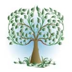 Casa-Signorile-logo.jpg