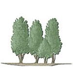 La Fonte - logo