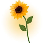 Girasole - logo