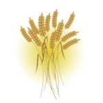 Granaio Pisano - logo