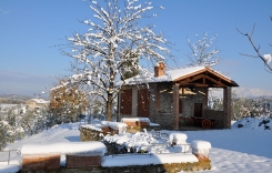 neve
