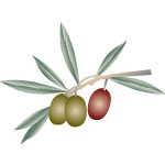 Casale Oliveta - logo